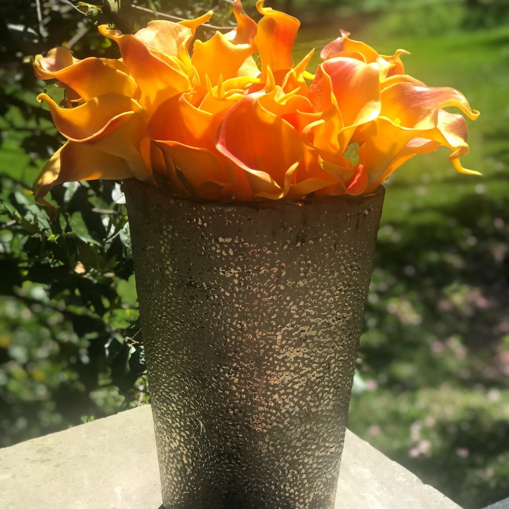 Luxe mango (fuego) calla lillies + vase